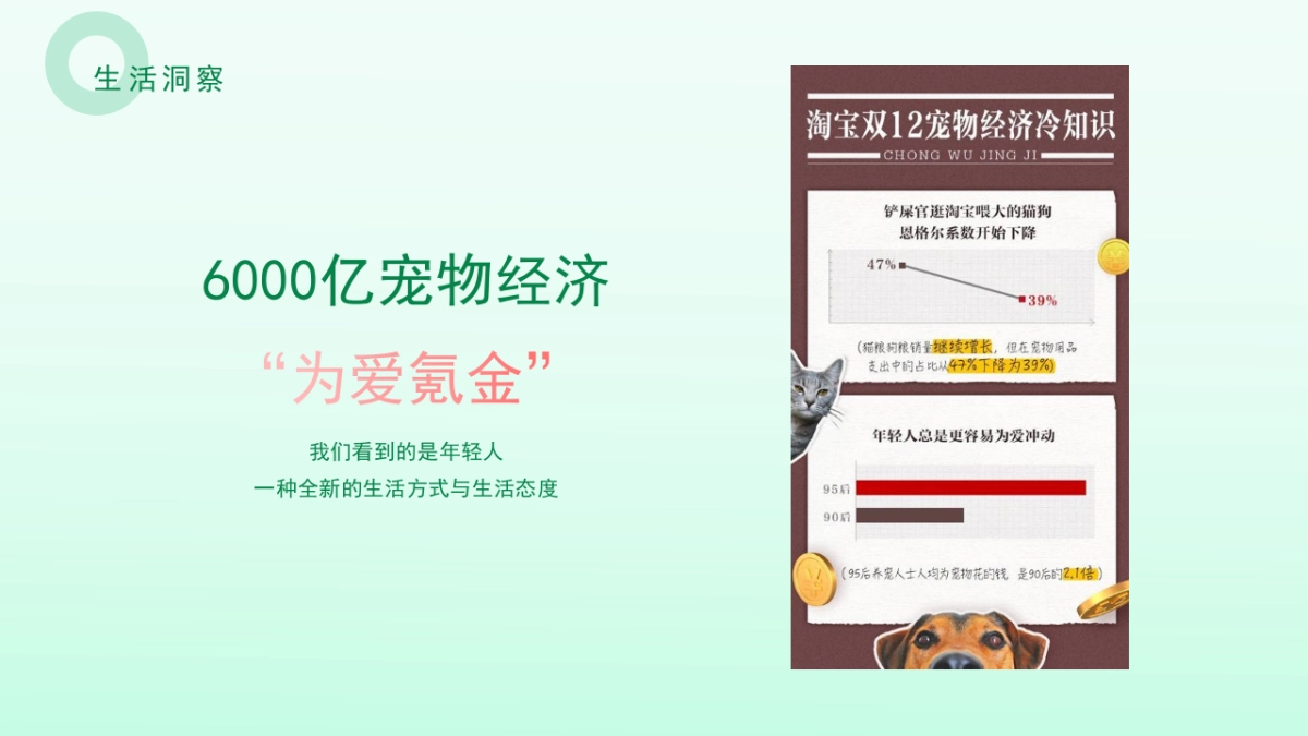 2024安吉桃花源萌宠露营节活动方案_第3页