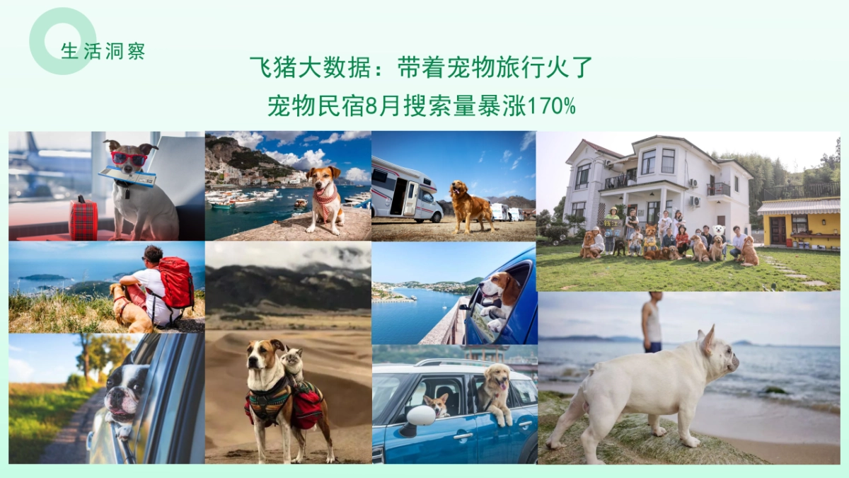 2024安吉桃花源萌宠露营节活动方案_第4页