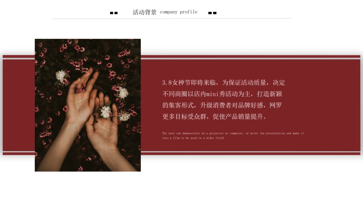 MINI主题秀女神节秀场主题活动方案_第2页