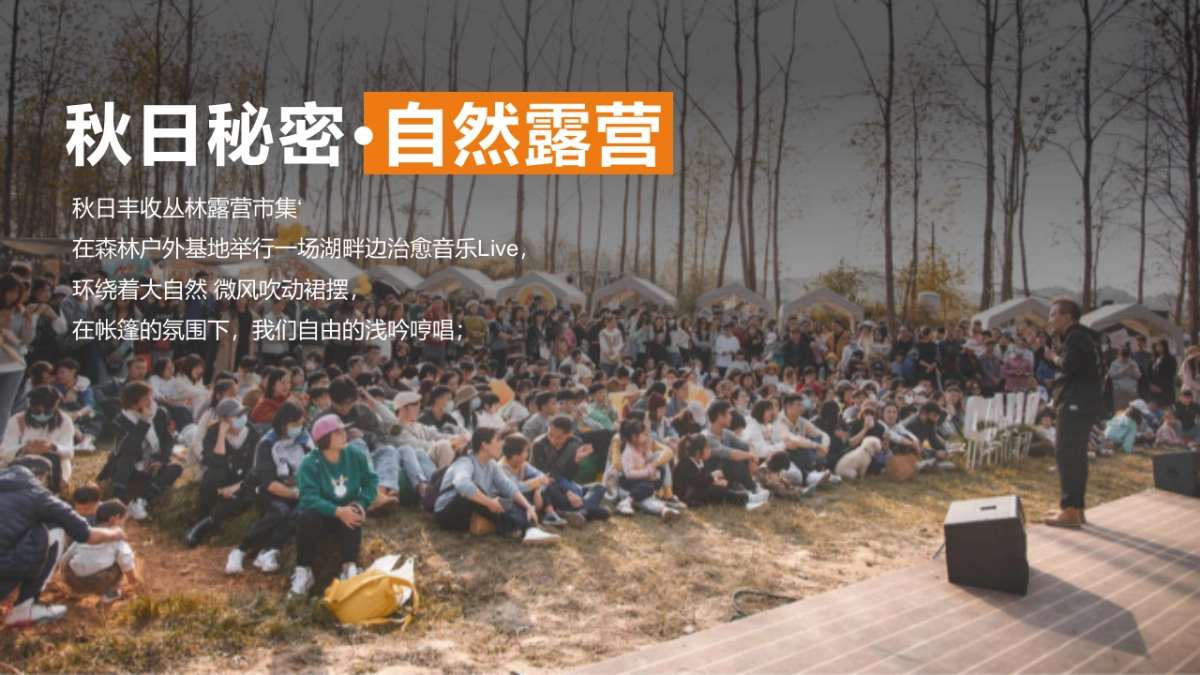 城市户外露营计划(稚时光 秋日游记主题)活动策划方案-36P_第4页