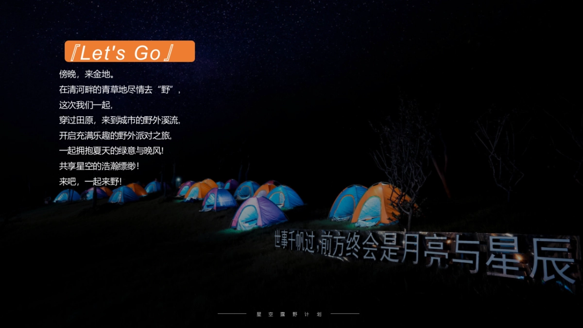 城市夏日星空露野计划活动策划方案_第2页