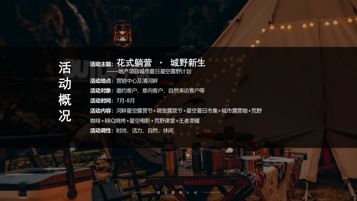 城市夏日星空露野计划活动策划方案_第4页