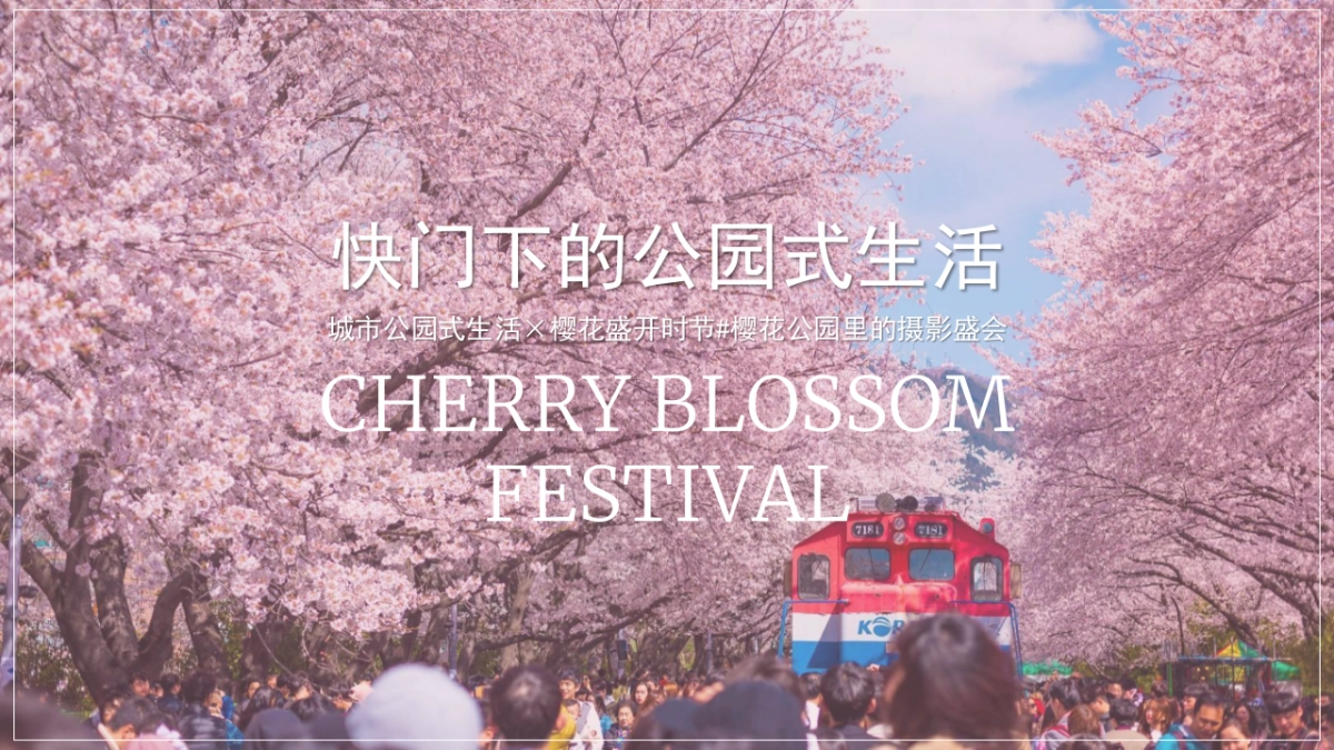 春季首届樱花节“樱你而美好”主题活动策划方案_第5页