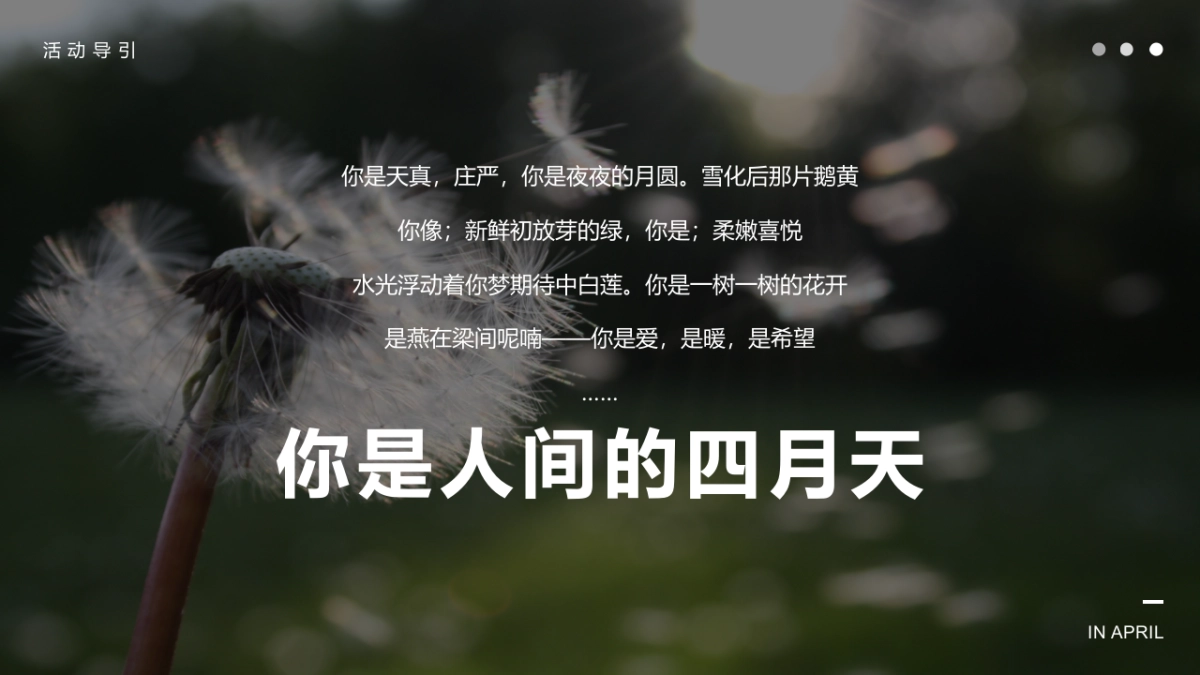 春季四月月度暖场“人间四月·遇见好时光”主题活动策划方案_第4页