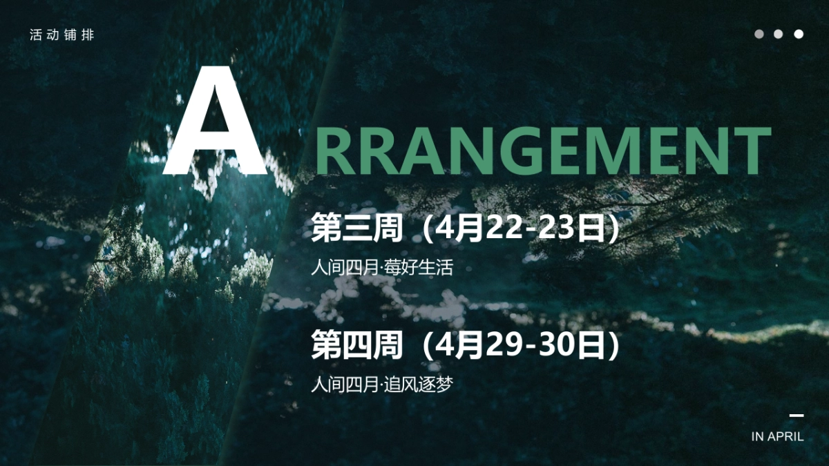 春季四月月度暖场“人间四月·遇见好时光”主题活动策划方案_第8页