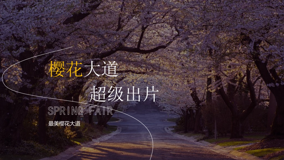 春季樱花集市暨样板间开放“樱花下 白麓集”主题活动策划方案_第5页