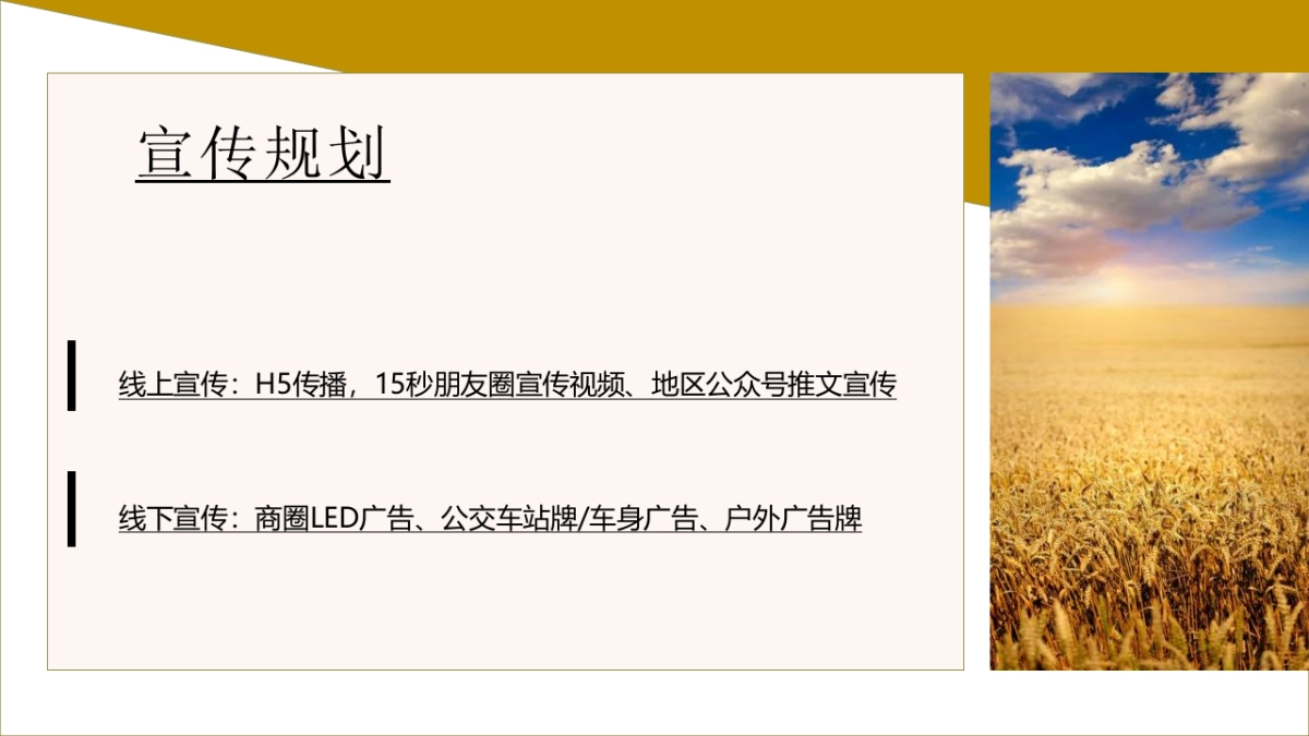 稻田麦田音乐会秋天丰收季主题活动活动策划方案-55P_第10页