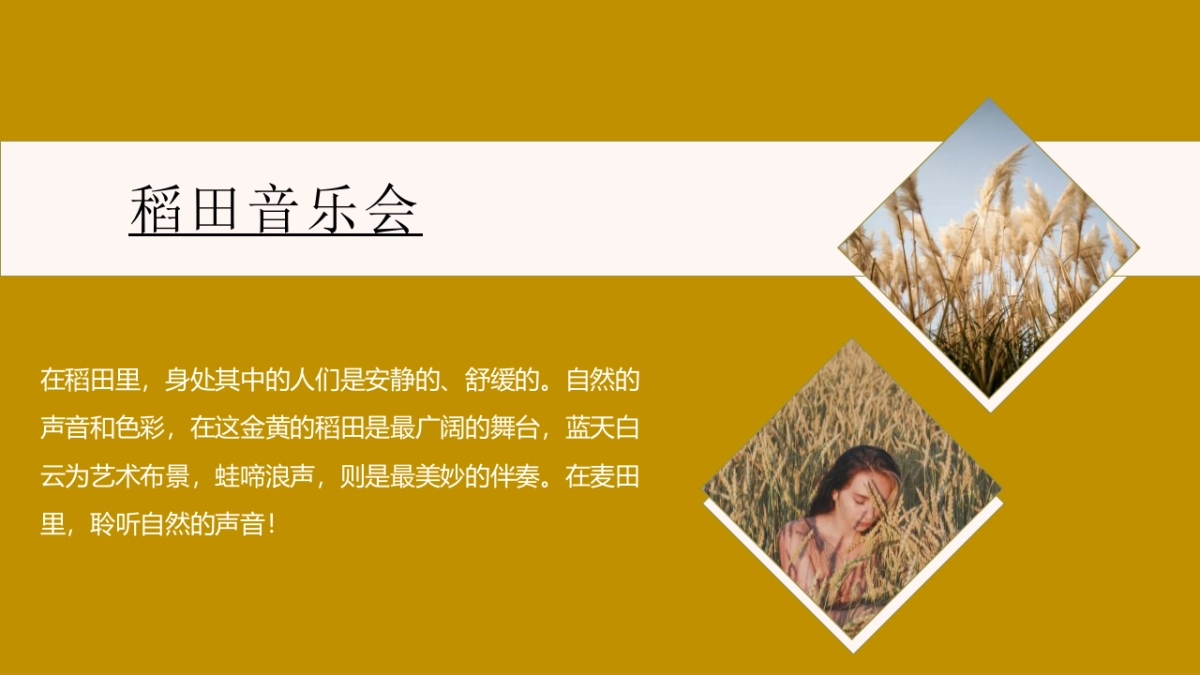 稻田麦田音乐会秋天丰收季主题活动活动策划方案-55P_第2页