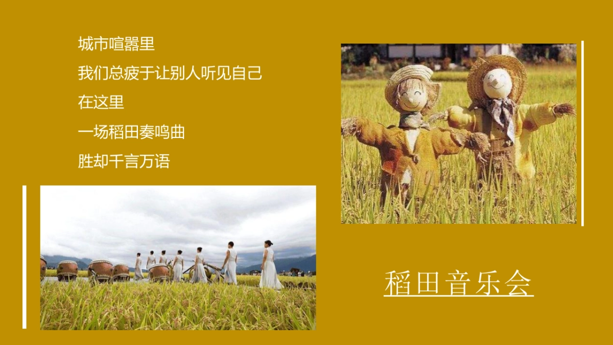 稻田麦田音乐会秋天丰收季主题活动活动策划方案-55P_第3页