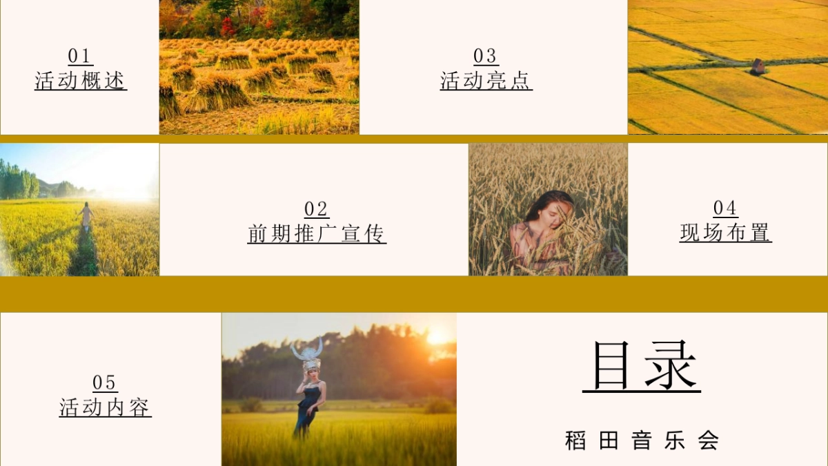 稻田麦田音乐会秋天丰收季主题活动活动策划方案-55P_第6页