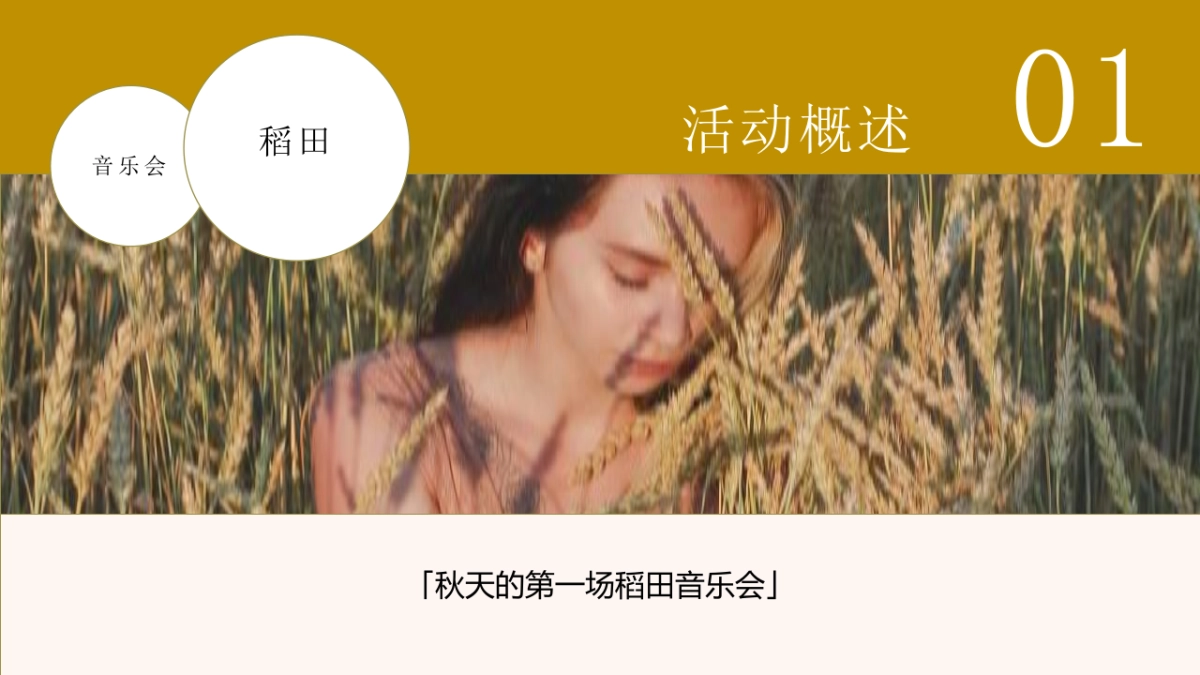 稻田麦田音乐会秋天丰收季主题活动活动策划方案-55P_第7页