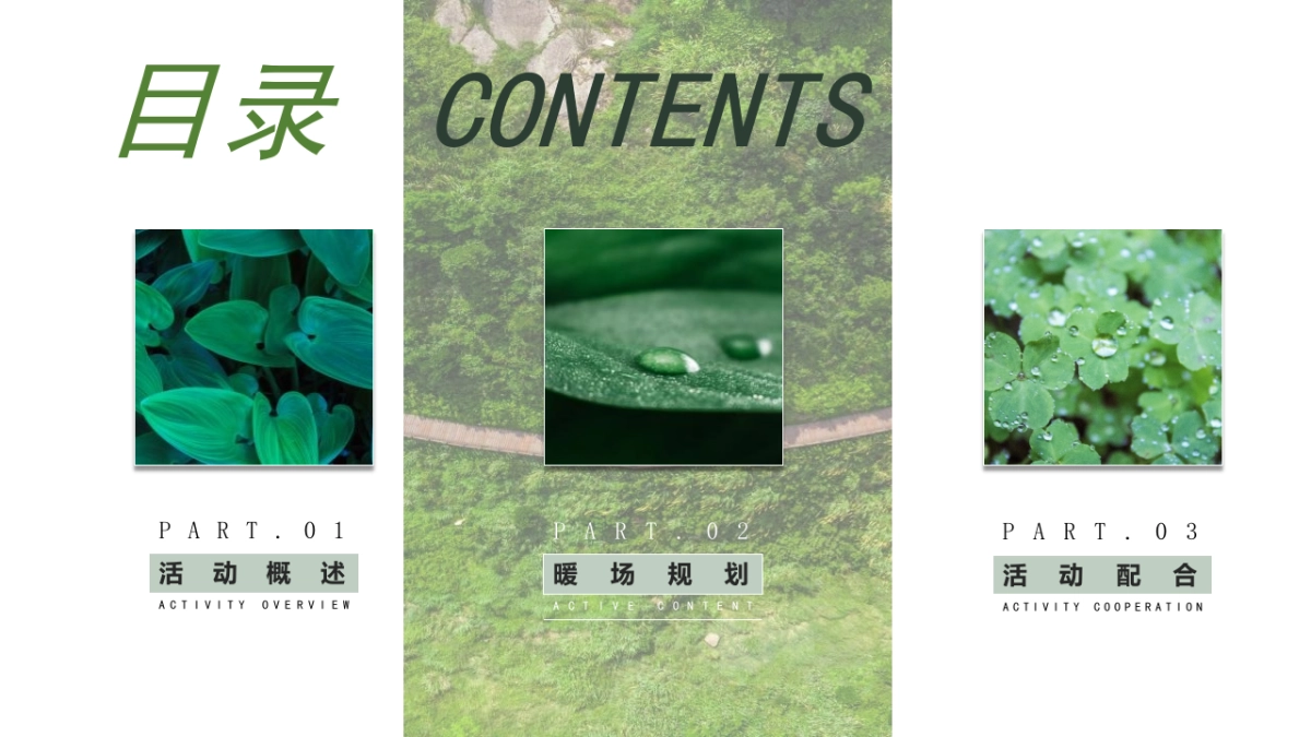 第二届开湖节3月系列活动“一起开湖”主题活动策划方案_第4页