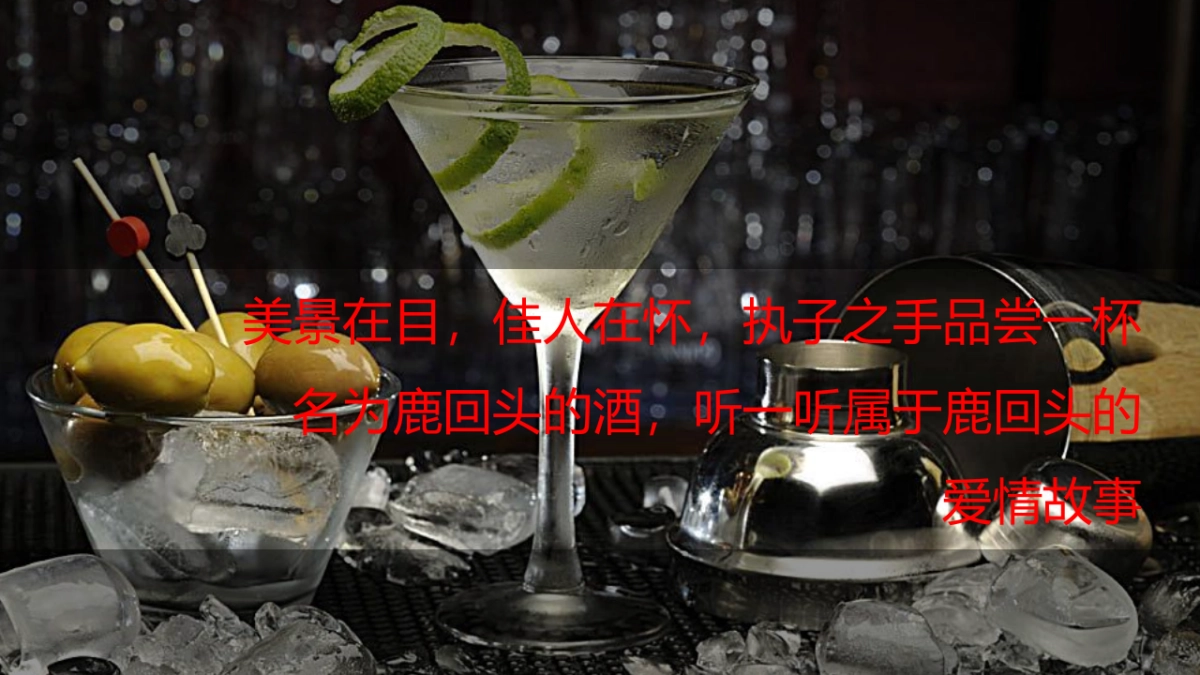 第二届鹿回头情山啤酒节策划方案_第8页