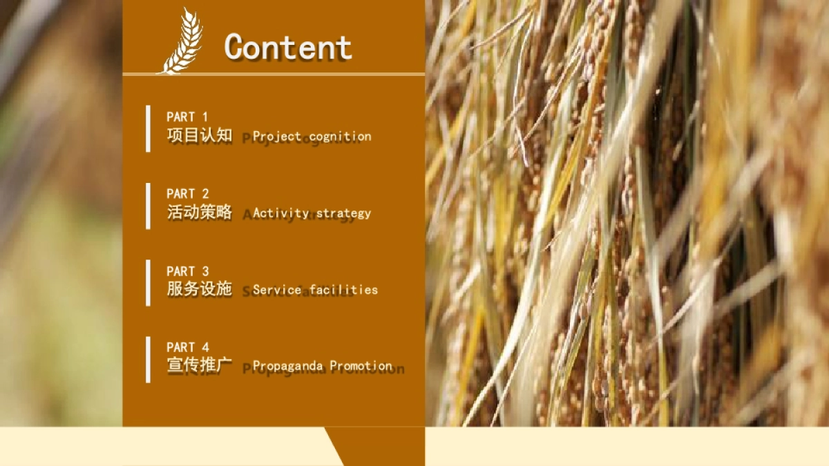 南京栖霞八卦洲稻田丰收节系列活动策划方案_第2页