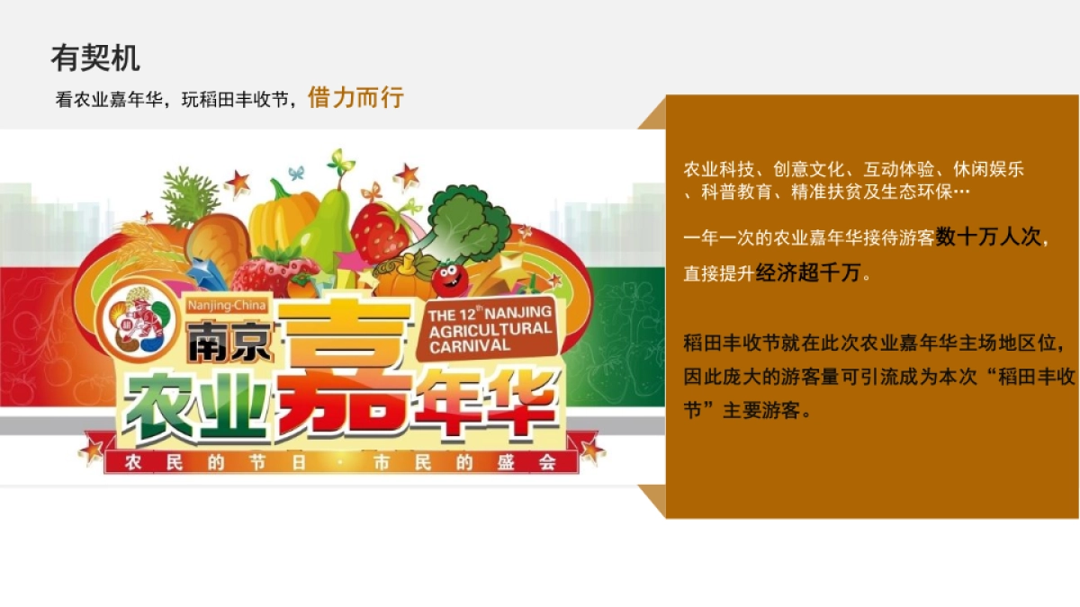 南京栖霞八卦洲稻田丰收节系列活动策划方案_第8页