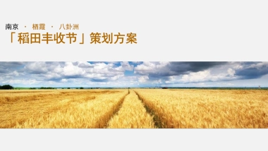 南京栖霞八卦洲稻田丰收节系列活动策划方案