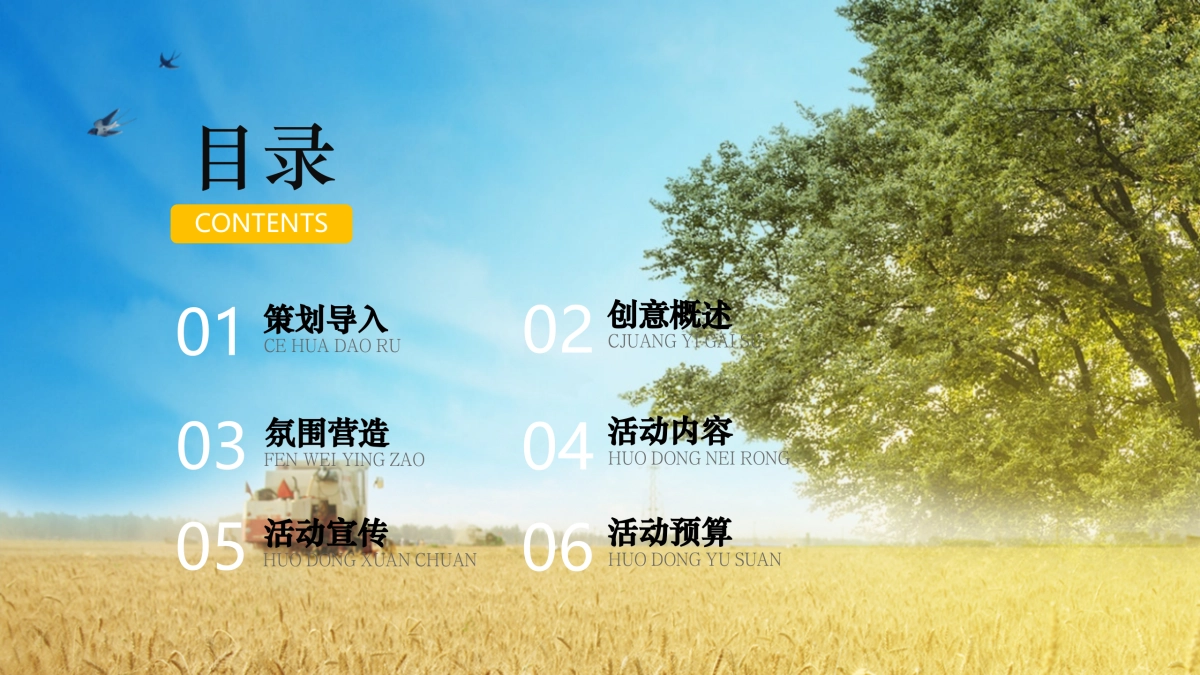 金秋乡村丰收节活动策划方案_第2页