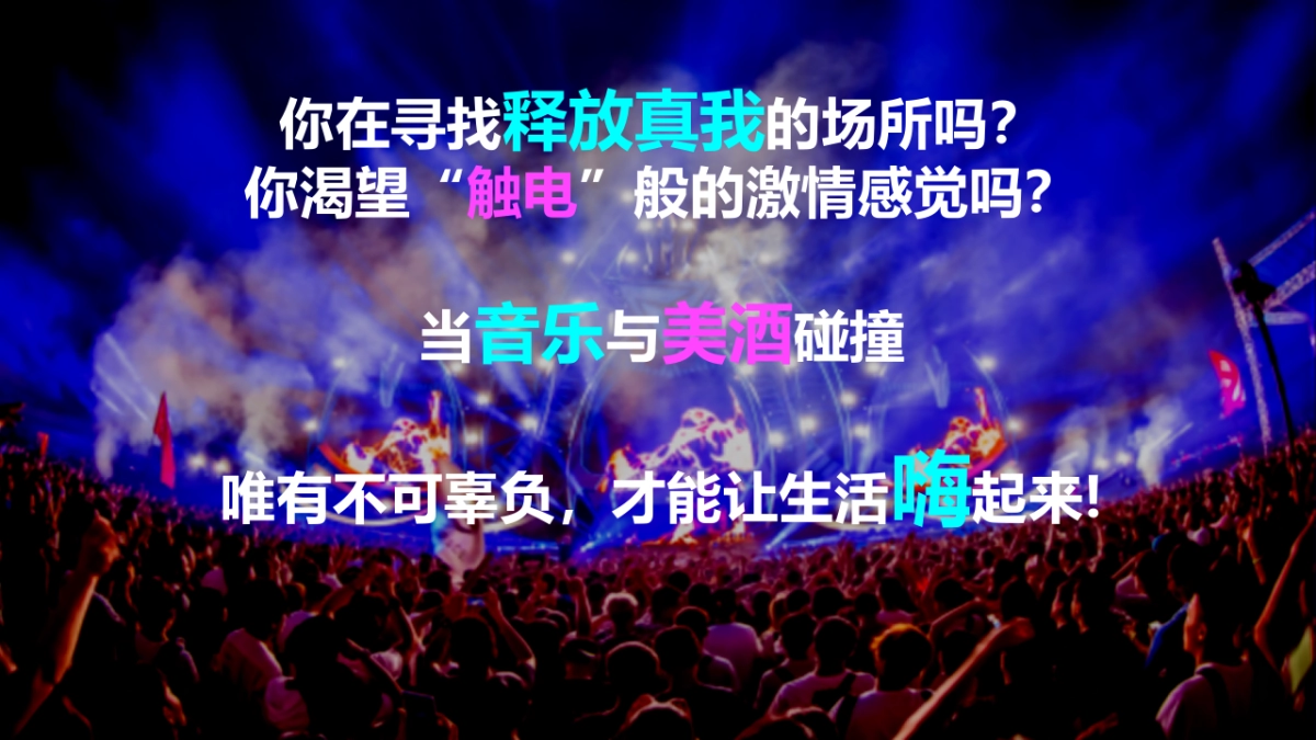 酒吧啤酒“x青年 乐潮全开主题Party”活动策划方案_第2页