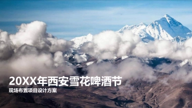 快消啤酒节方案