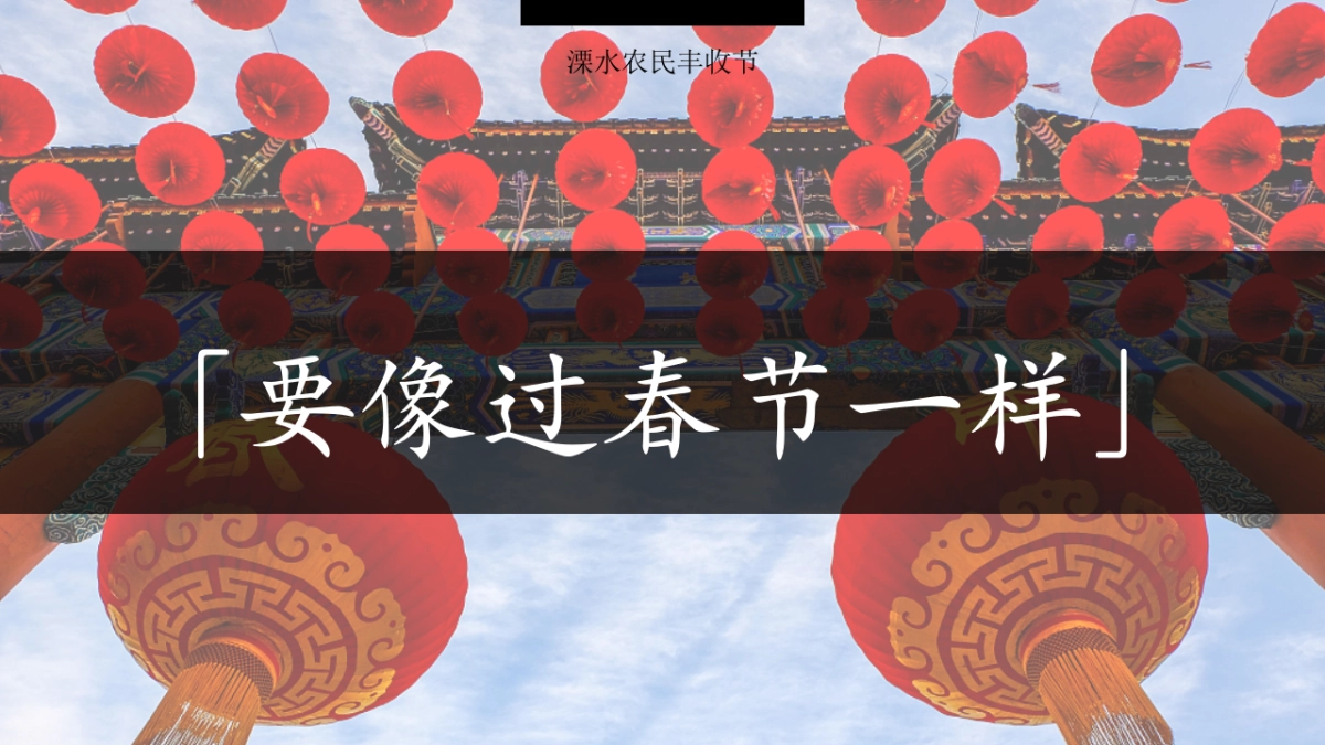 溧水首届农民丰收节活动策划方案_第5页