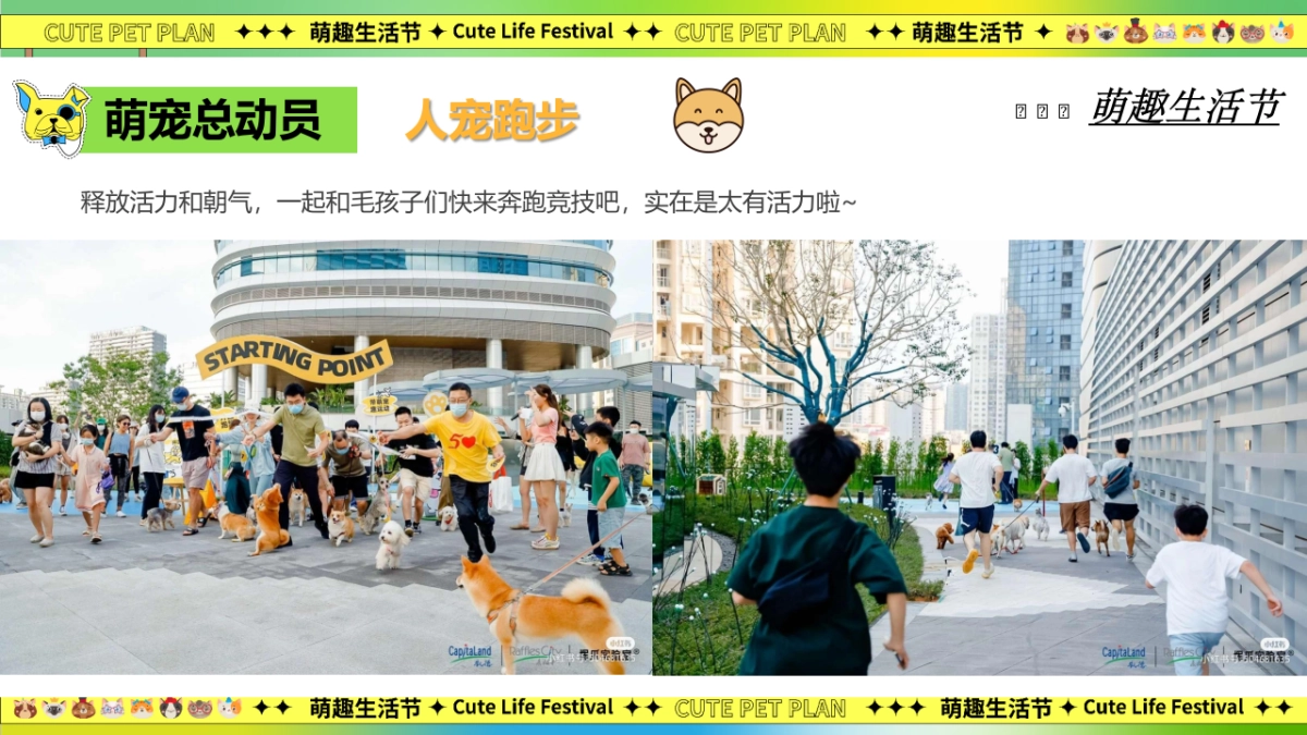 萌宠集市派对相亲【宠物市集、萌宠派对】_第10页