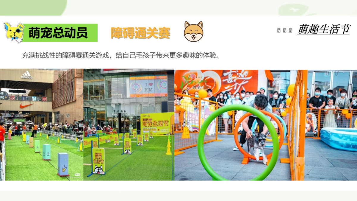 萌宠集市派对相亲【宠物市集、萌宠派对】_第8页