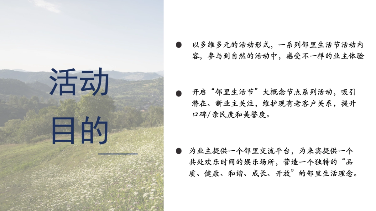 梦幻市集高端地产生活市集活动策划方案_第4页