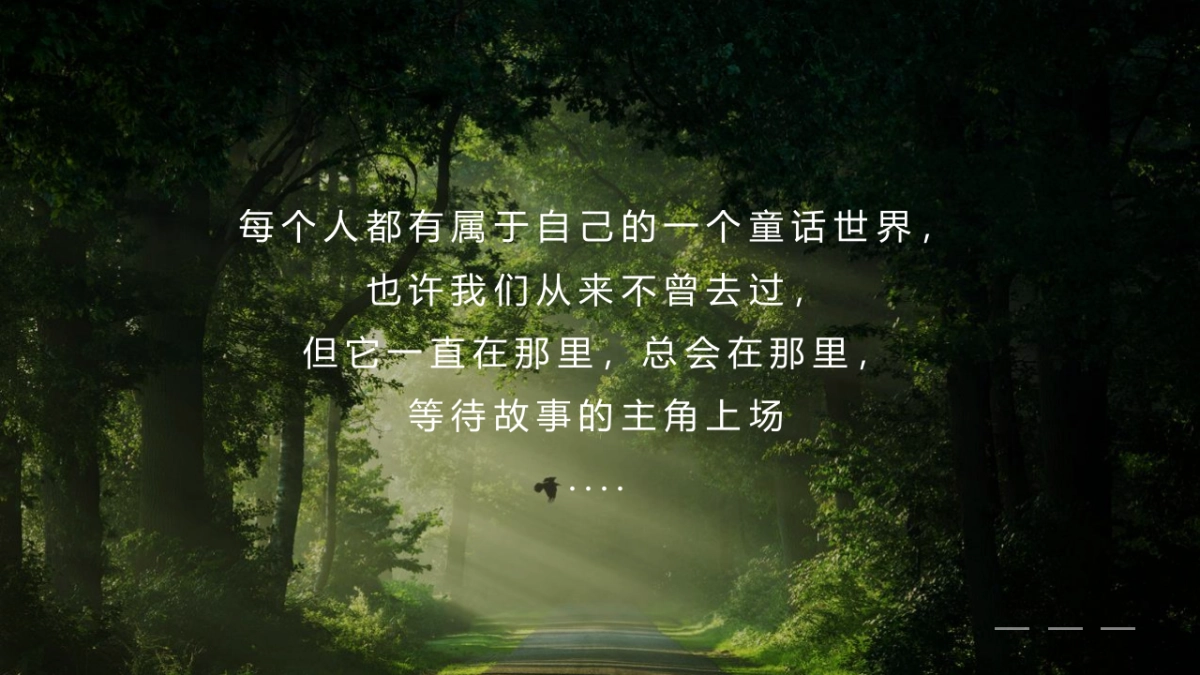 梦幻童话世界嘉年华(童梦仙境 玺藏美好主题)活动策划方案-48P_第2页