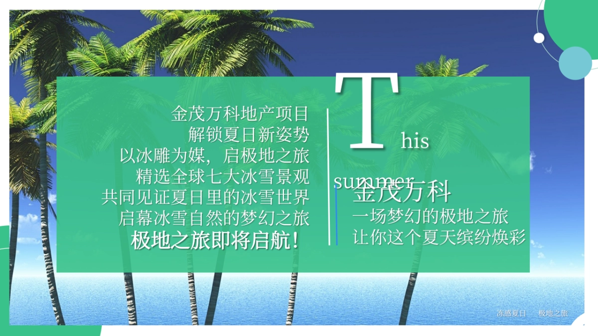 首届冰雪嘉年华“极光之境缤纷都会”主题活动策划方案_第5页