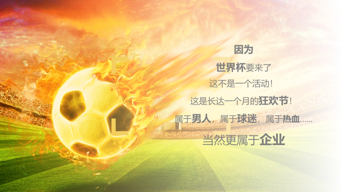 女团巡演方案——世界杯校园音乐嘉年华_第4页