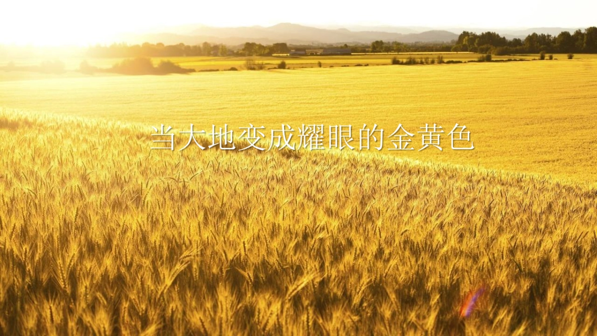 秋季系列暖场“秋日物语”主题活动策划方案_第2页