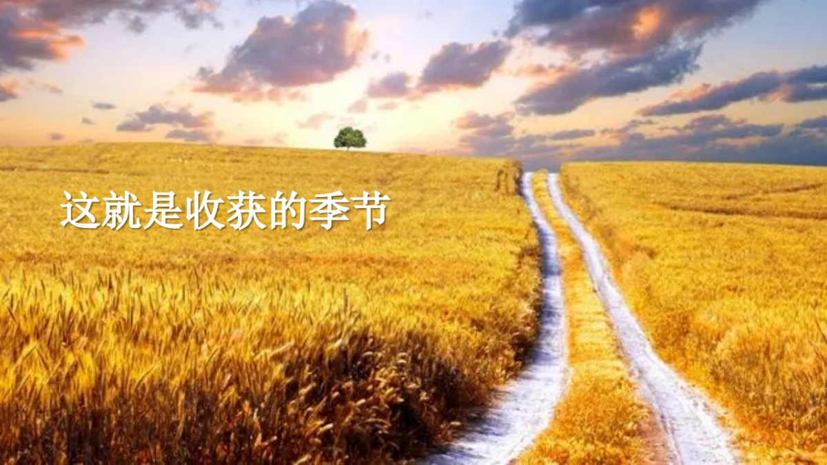 秋季系列暖场“秋日物语”主题活动策划方案_第4页