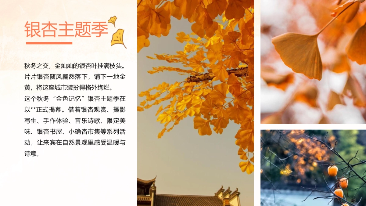 秋日の色彩秋日奇遇季主题秋日游园会活动策划方案-49P_第3页