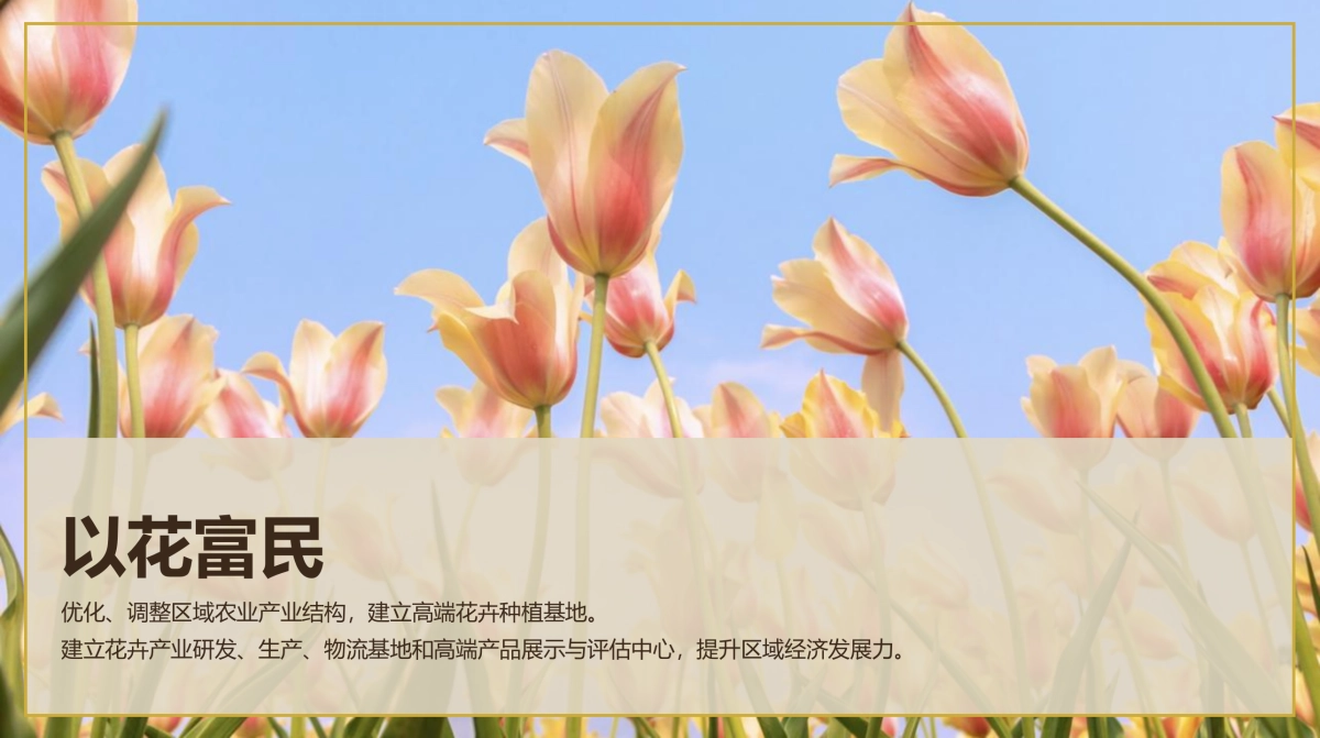 三亚国际花卉旅游节活动策划方案-77P_第5页