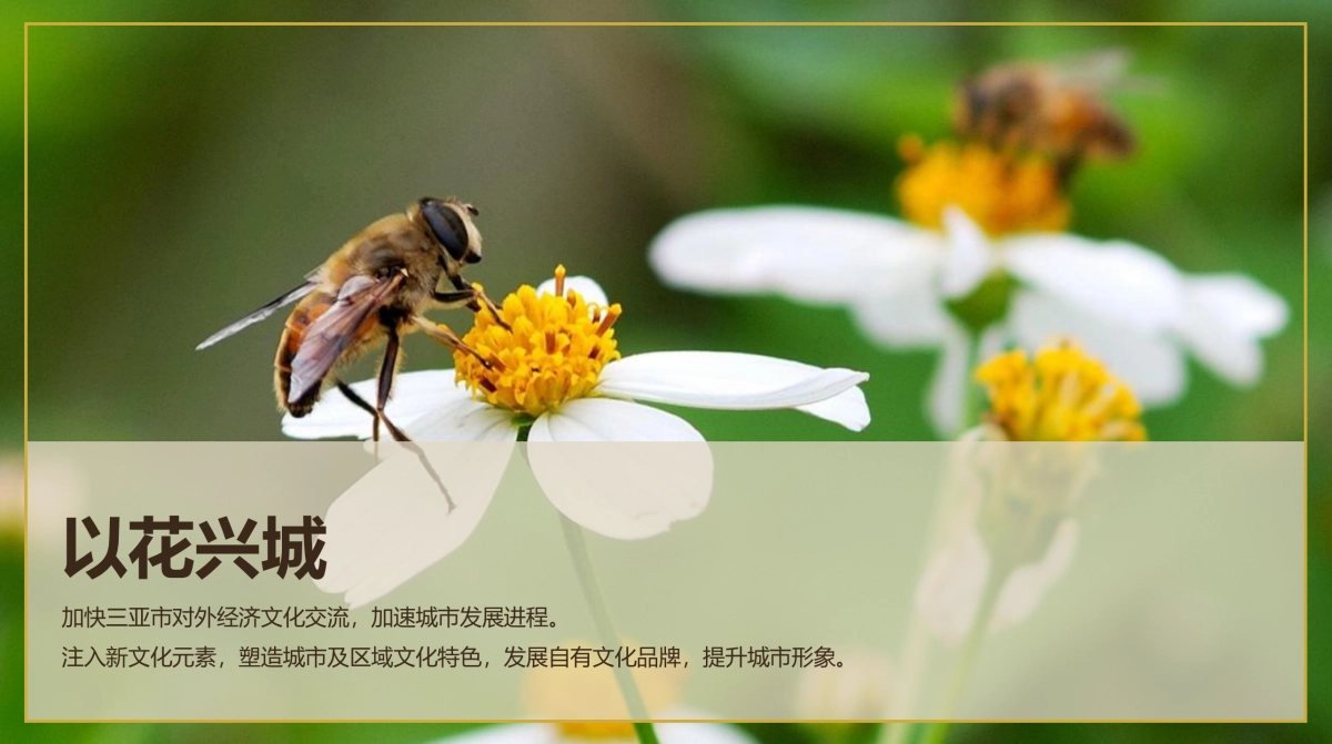 三亚国际花卉旅游节活动策划方案-77P_第6页