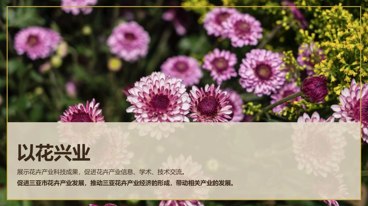 三亚国际花卉旅游节活动策划方案-77P_第7页