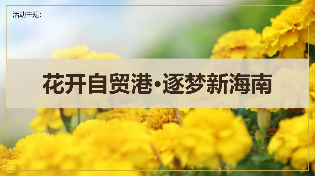 三亚国际花卉旅游节活动策划方案-77P_第8页