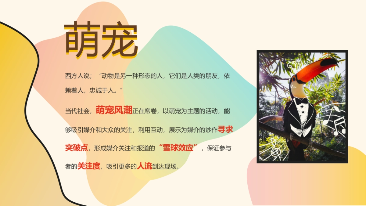 商业购物中心十月月度特别企划（萌宠的告白主题）活动策划方案-49P_第2页