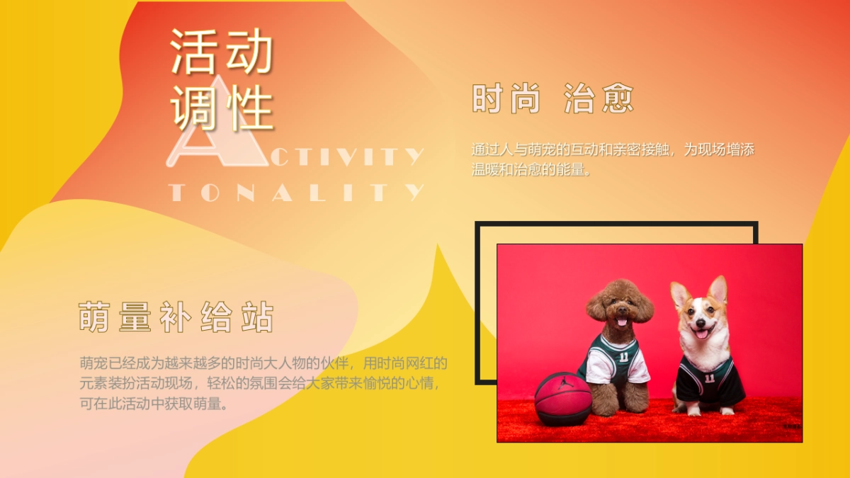 商业购物中心十月月度特别企划（萌宠的告白主题）活动策划方案-49P_第3页