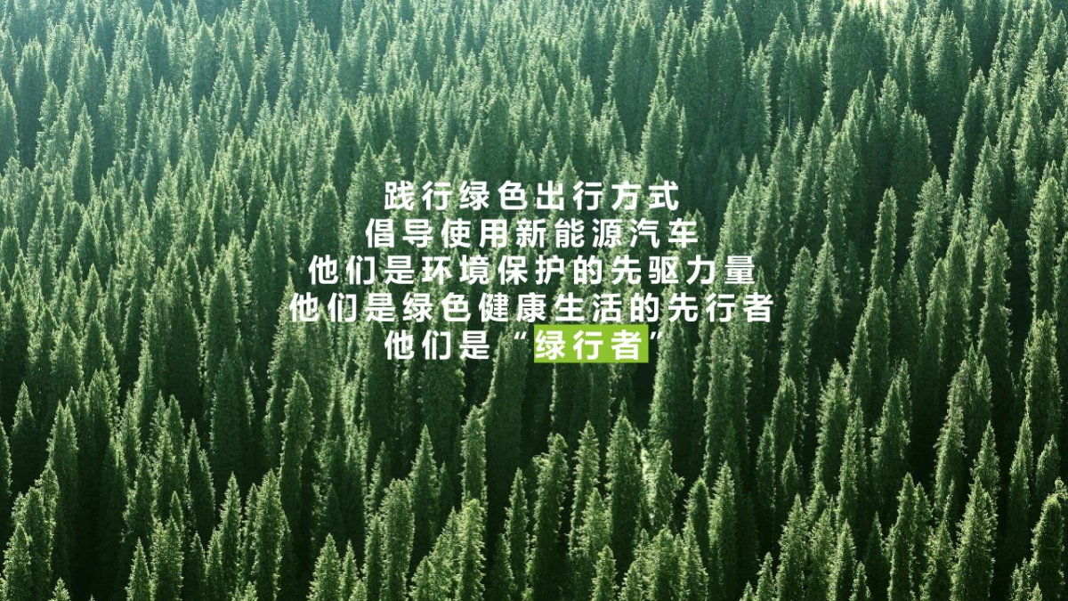 申迪绿色汽车嘉年华方案_第5页