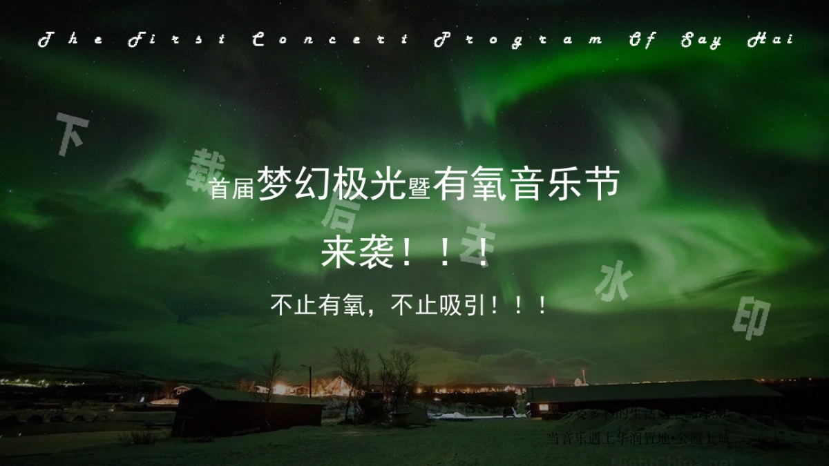 首届SAYHAI梦幻极光暨有氧音乐节活动策划方案_第10页