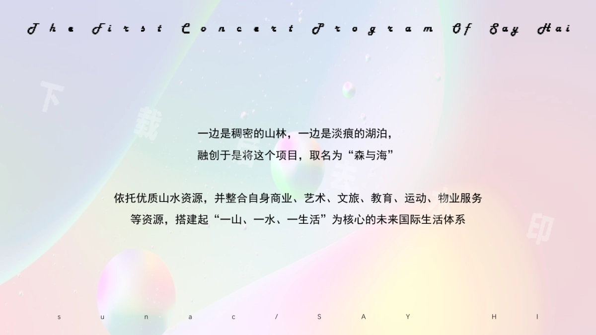 首届SAYHAI梦幻极光暨有氧音乐节活动策划方案_第4页