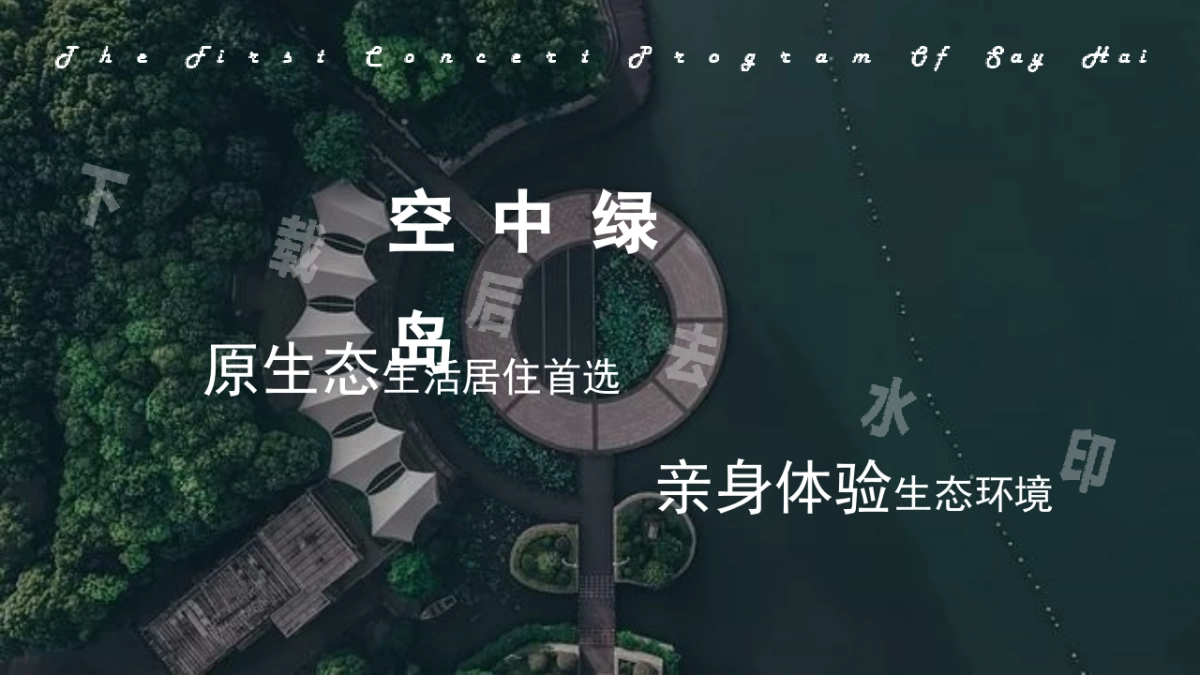 首届SAYHAI梦幻极光暨有氧音乐节活动策划方案_第7页