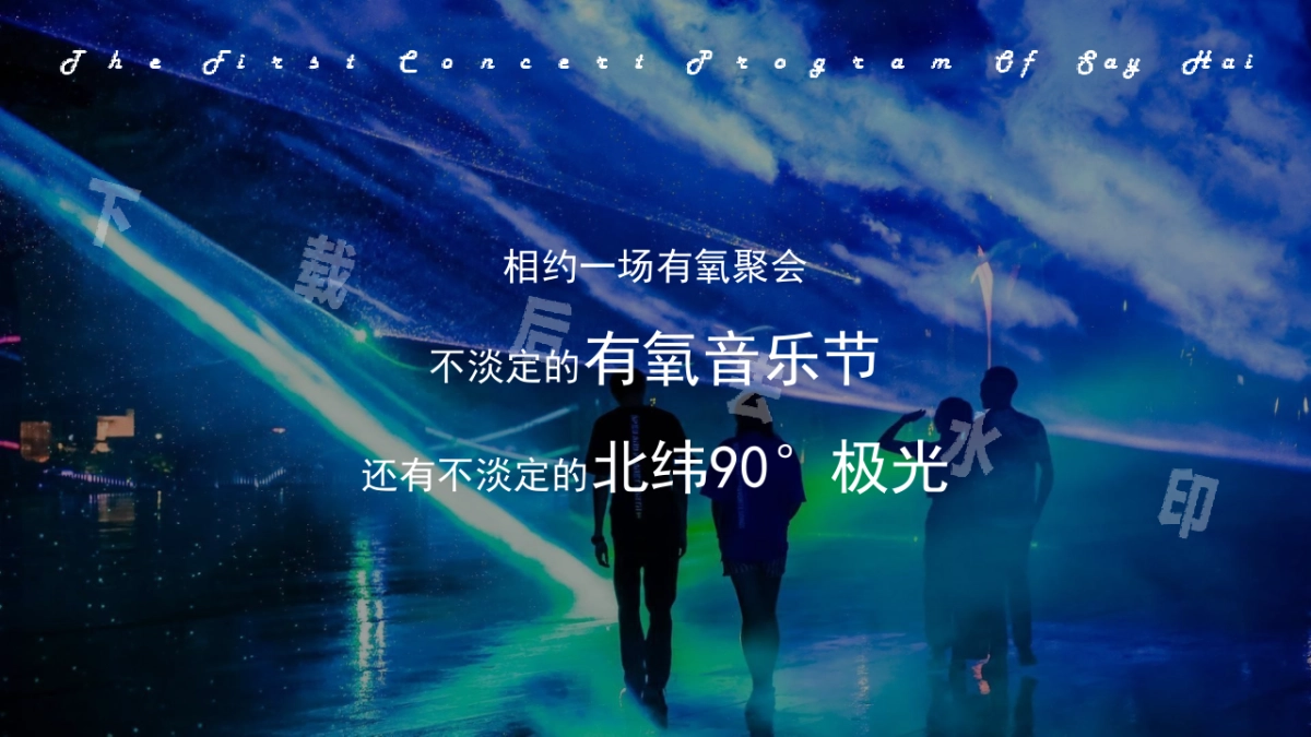 首届SAYHAI梦幻极光暨有氧音乐节活动策划方案_第9页