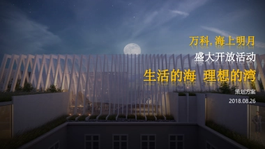 万科海上明月盛大开放活动策划方案