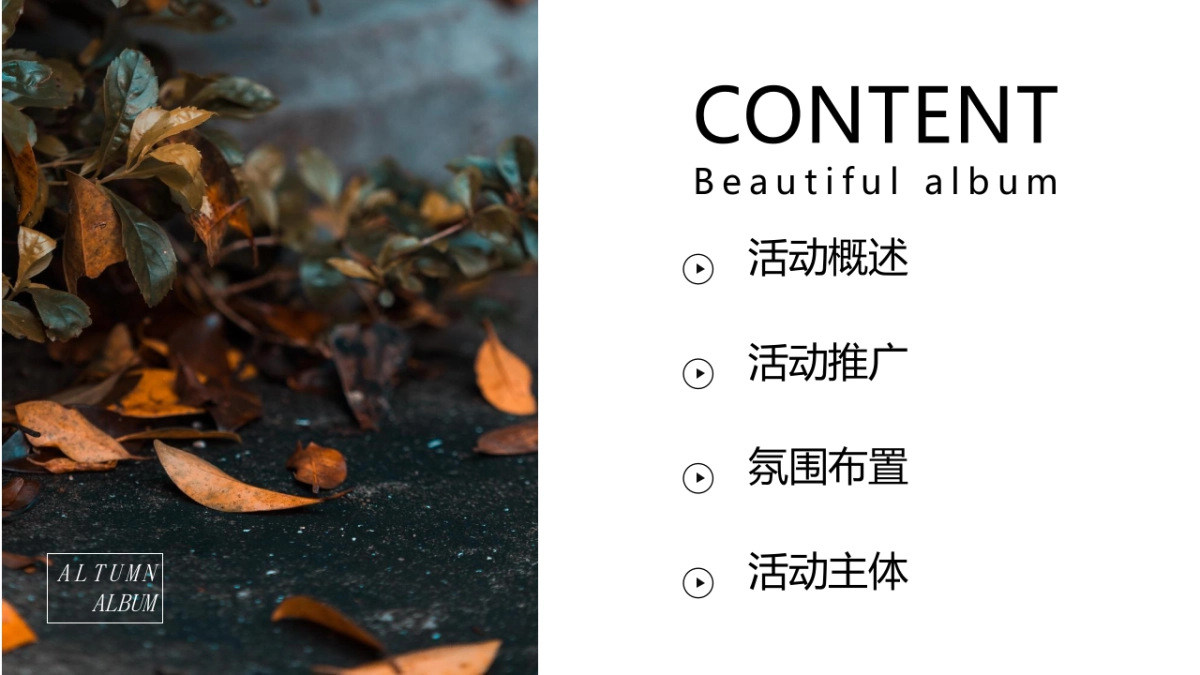 万物欢喜 乡见秋野 秋日田野丰收主题嘉年华活动策划方案-56P_第2页