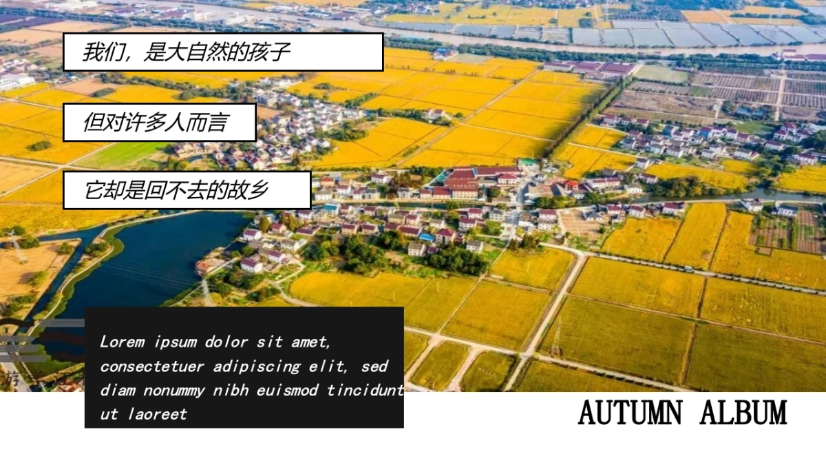 万物欢喜 乡见秋野 秋日田野丰收主题嘉年华活动策划方案-56P_第3页