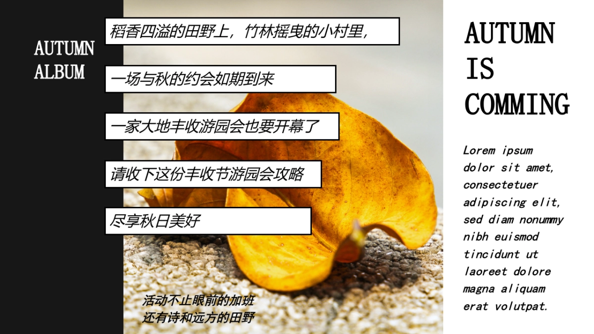 万物欢喜 乡见秋野 秋日田野丰收主题嘉年华活动策划方案-56P_第4页