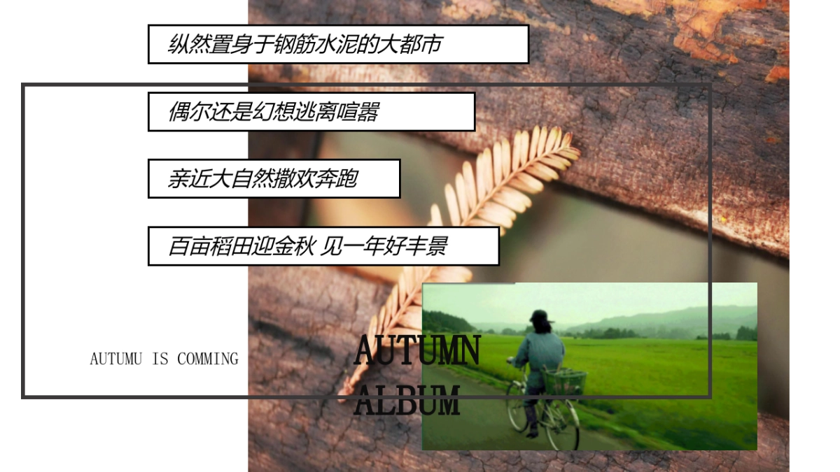 万物欢喜 乡见秋野 秋日田野丰收主题嘉年华活动策划方案-56P_第5页