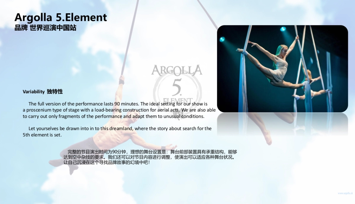 文旅项目国际音乐节第五元素中国巡演策划方案_第5页